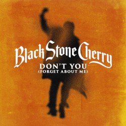 Don't You (Forget About Me)