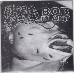 Bob Plant / Haggus