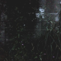 Static Eulogy 2