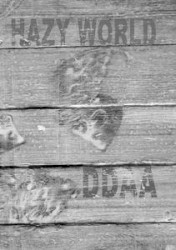 Hazy World