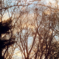 preserving / nurturing
