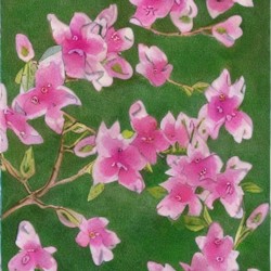 sиמមгנR пטמк∃ור