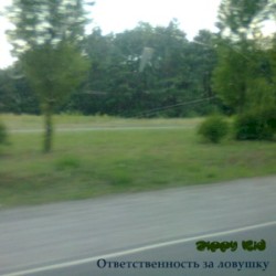 Ответственность За Ловушку