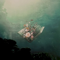 Urban Flora: Lost Sequels