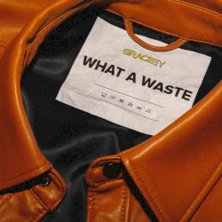 What a Waste