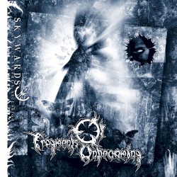 Skywards: Chapter II - A Sylphe’s Ascension