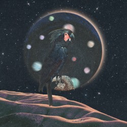 you, me and stardust