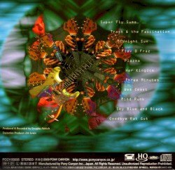Electrovision