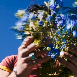 Music for People Who Believe in Love