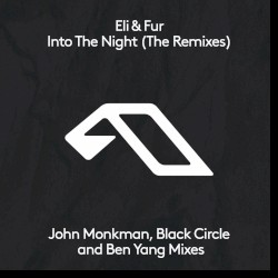 Into The Night (The Remixes)