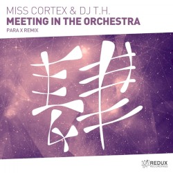 Meeting in the Orchestra