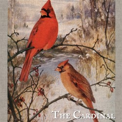 The Cardinal