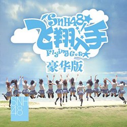 飞翔入手