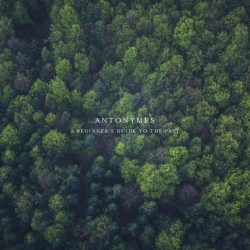 A Beginner's Guide To The Past