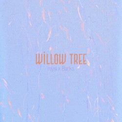 Willow Tree