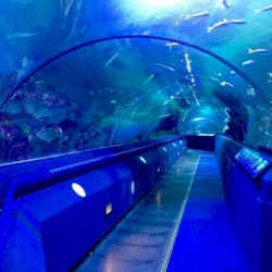 Velvet Rain / My Ocean