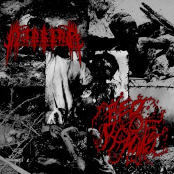 Nanking / Bed of Roaches