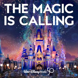 The Magic Is Calling