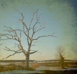 Imber (Stray Theories Remix)