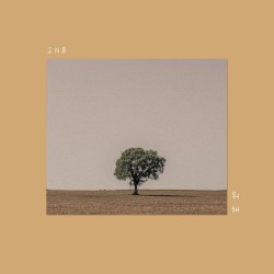 What are you doing now?