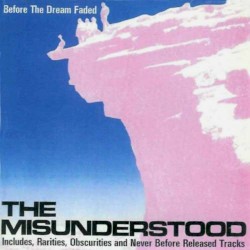 Before the Dream Faded