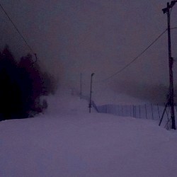 罪を犯した