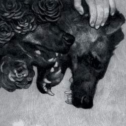 Sympathie für Hyäne