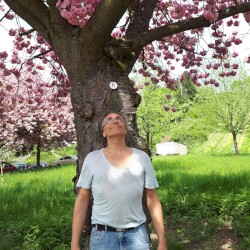 Heart of the Earth Parts 1-9