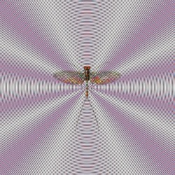 Walls Cave In On You