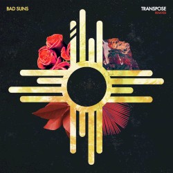 Transpose (remixes)