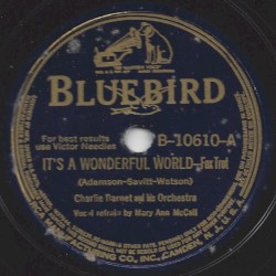 It's a Wonderful World / Busy as a Bee