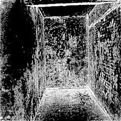 godNOISEgod / Lena Lenore