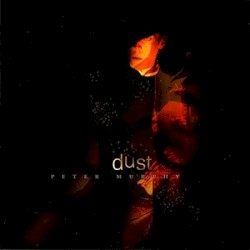Dust