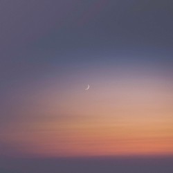 Dream a Little Dream of Me