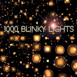 1000 Blinky Lights