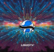 Liquicity Yearmix