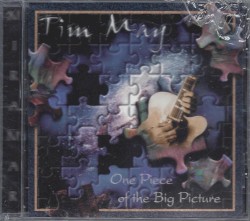 One Piece of the Big Picture