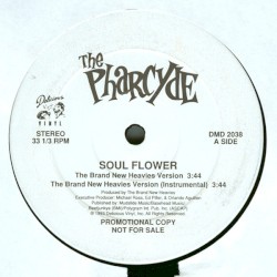 Soul Flower