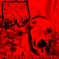 Process of Murder