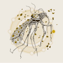 Rain Will Be the New Gold / Humongous Fungus