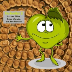 Acess Files from Owaka on Any Device