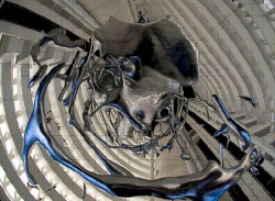 א ב ג ד ה ו ► nִizpåck [1]