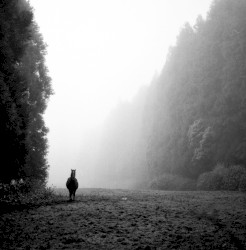 i'm not supposed to be here