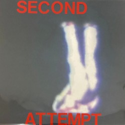 Second Attempt