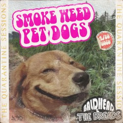 Smoke Weed Pet Dogs [Quarantine Sessions]