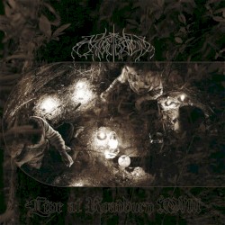 Live at Roadburn 2008