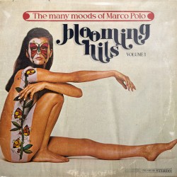 The Many Moods of Marco Polo Vol. 1