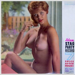 Adam Stag Party Record 7: Spice After Hours