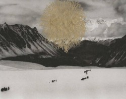 𝔎𝔲𝔩𝔞 𝔊𝔥𝔞𝔫𝔤𝔯𝔦