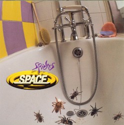 Spiders